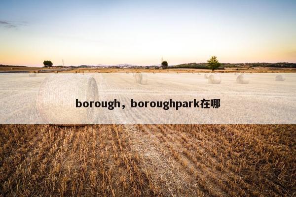 borough，boroughpark在哪