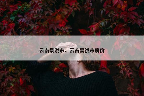 云南景洪市，云南景洪市房价