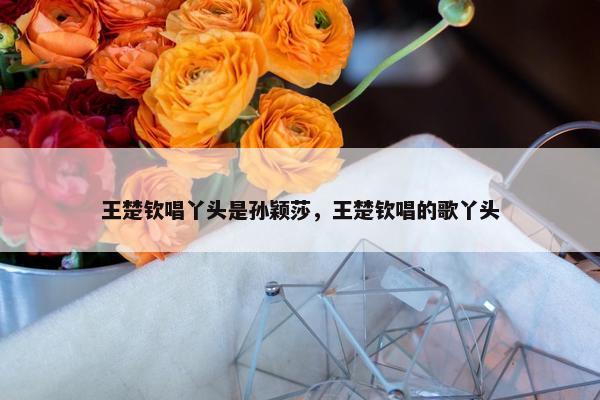 王楚钦唱丫头是孙颖莎，王楚钦唱的歌丫头