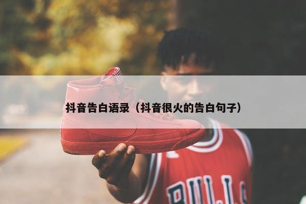 抖音告白语录（抖音很火的告白句子）