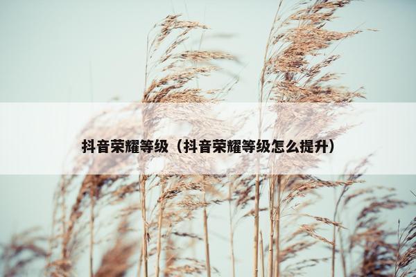 抖音荣耀等级（抖音荣耀等级怎么提升）