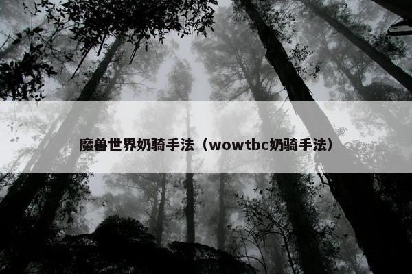 魔兽世界奶骑手法（wowtbc奶骑手法）