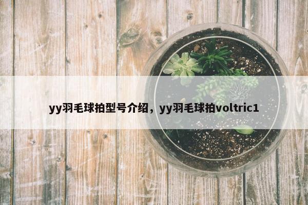 yy羽毛球拍型号介绍，yy羽毛球拍voltric1