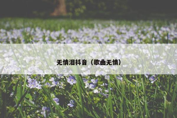 无情泪抖音（歌曲无情）