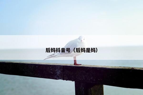 后妈抖音号（后妈是妈）