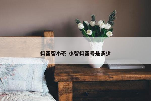 抖音智小茶 小智抖音号是多少