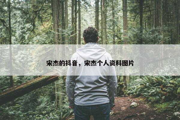 宋杰的抖音，宋杰个人资料图片