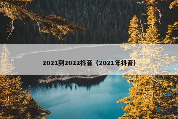 2021到2022抖音（2021年抖音）