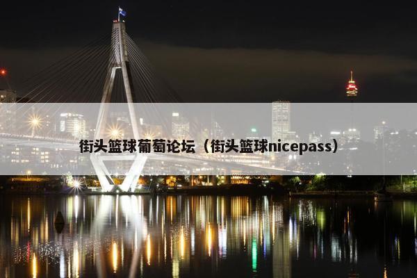 街头篮球葡萄论坛（街头篮球nicepass）