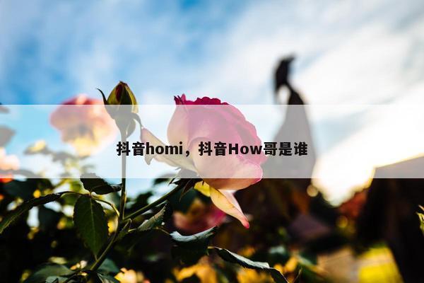 抖音homi，抖音How哥是谁