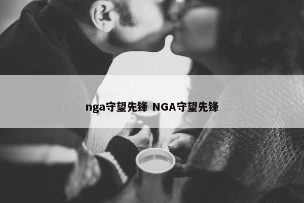 nga守望先锋 NGA守望先锋