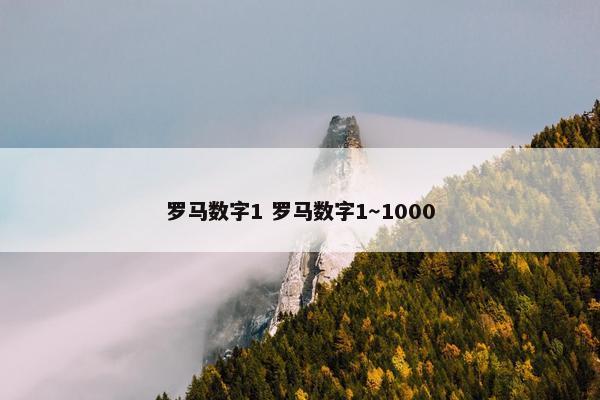 罗马数字1 罗马数字1～1000