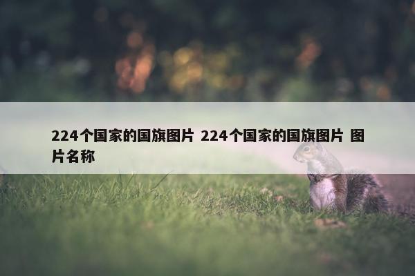 224个国家的国旗图片 224个国家的国旗图片 图片名称