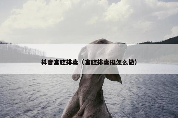 抖音宫腔排毒（宫腔排毒操怎么做）