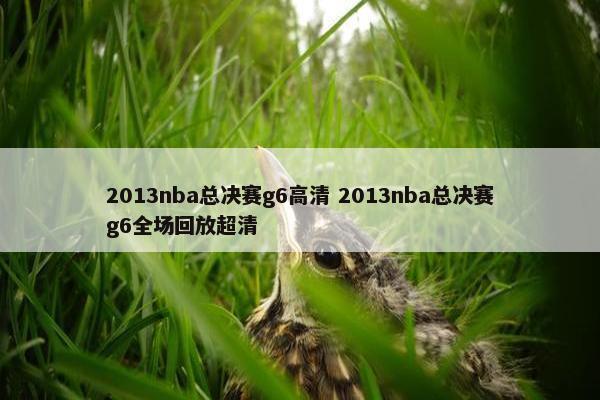 2013nba总决赛g6高清 2013nba总决赛g6全场回放超清