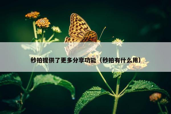 秒拍提供了更多分享功能（秒拍有什么用）