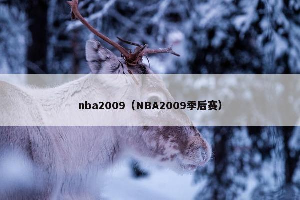 nba2009（NBA2009季后赛）