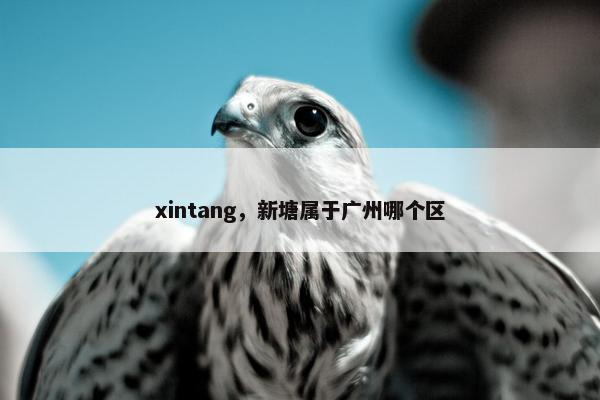 xintang，新塘属于广州哪个区