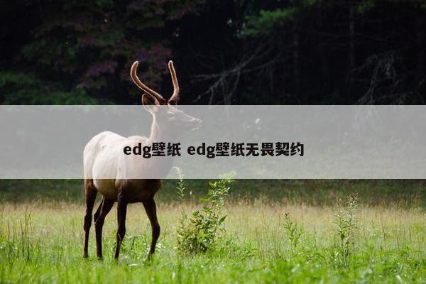 edg壁纸 edg壁纸无畏契约