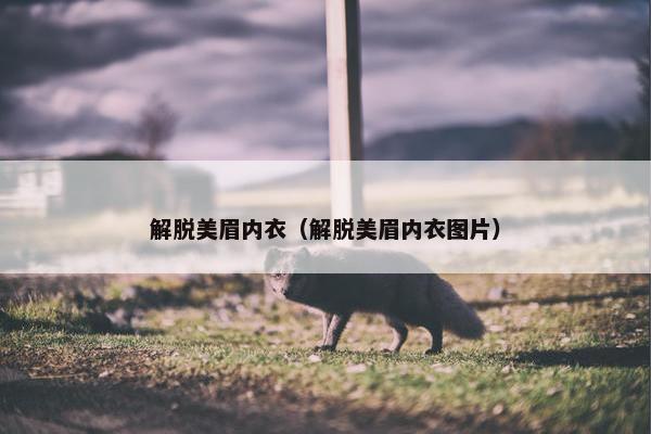 解脱美眉内衣（解脱美眉内衣图片）