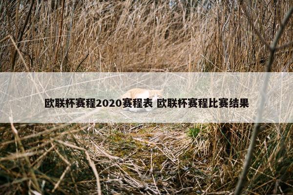 欧联杯赛程2020赛程表 欧联杯赛程比赛结果