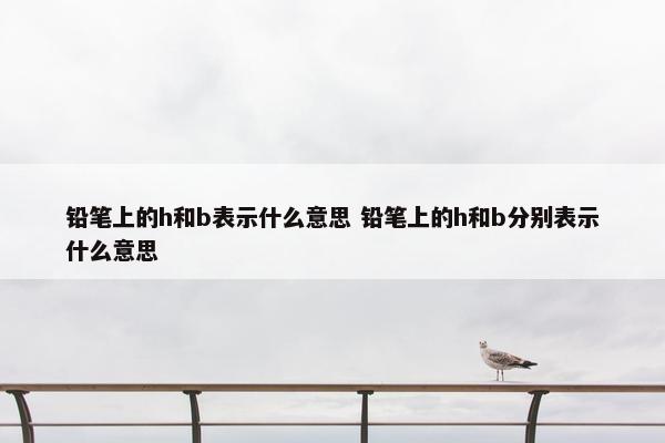 铅笔上的h和b表示什么意思 铅笔上的h和b分别表示什么意思