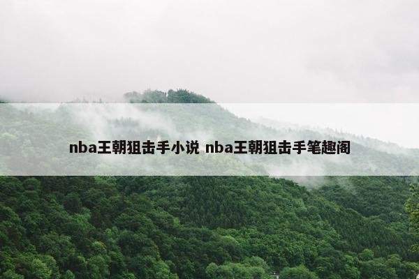 nba王朝狙击手小说 nba王朝狙击手笔趣阁