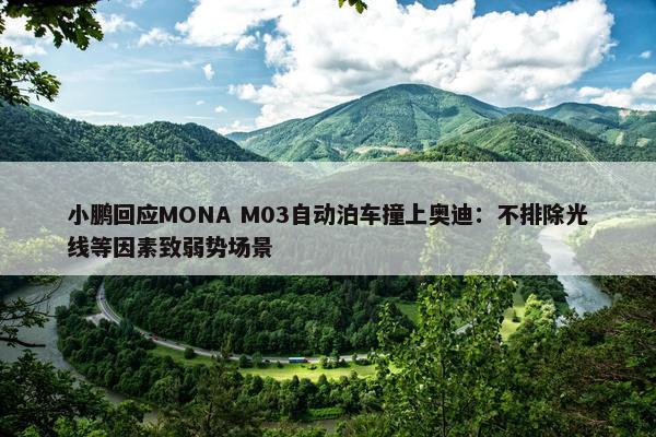 小鹏回应MONA M03自动泊车撞上奥迪：不排除光线等因素致弱势场景