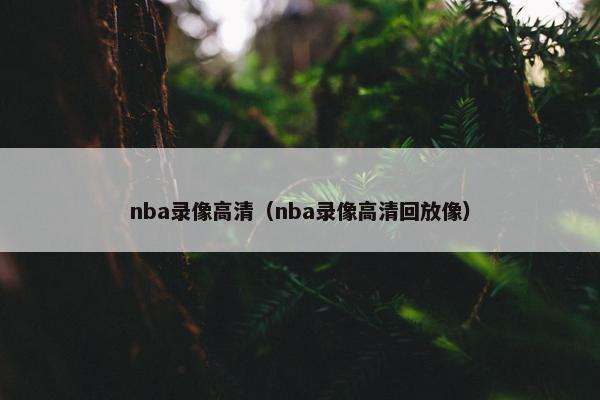 nba录像高清（nba录像高清回放像）