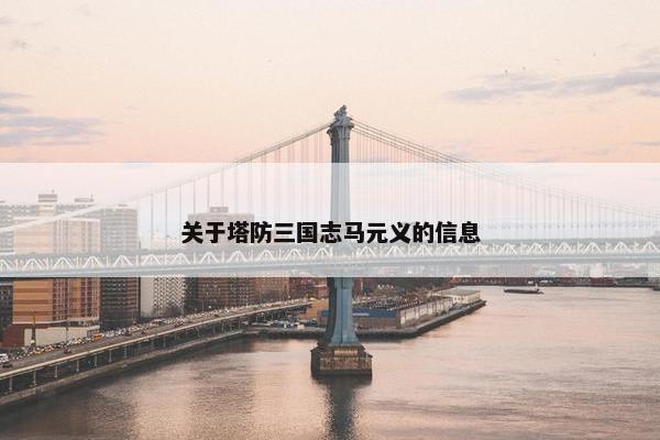 关于塔防三国志马元义的信息