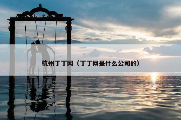 杭州丁丁网（丁丁网是什么公司的）