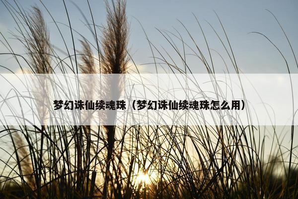 梦幻诛仙续魂珠（梦幻诛仙续魂珠怎么用）