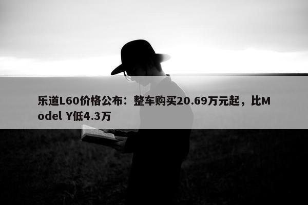 乐道L60价格公布：整车购买20.69万元起，比Model Y低4.3万