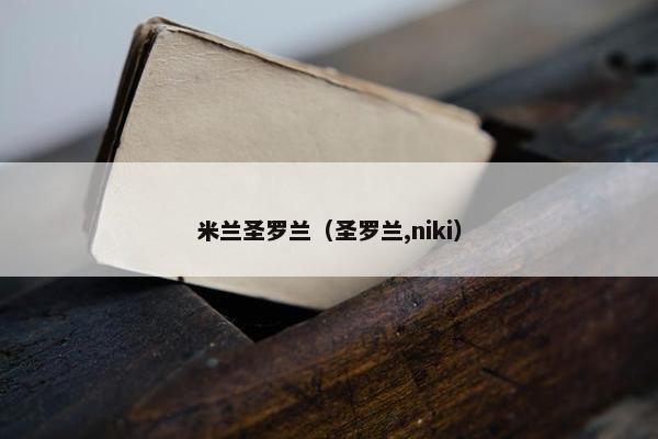 米兰圣罗兰（圣罗兰,niki）