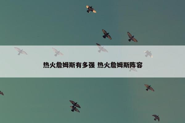 热火詹姆斯有多强 热火詹姆斯阵容