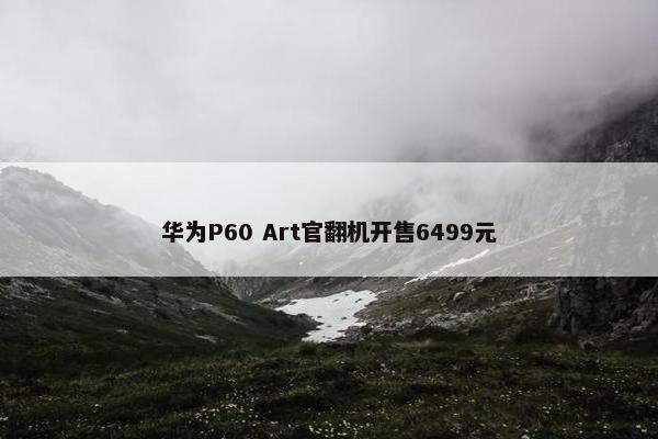 华为P60 Art官翻机开售6499元