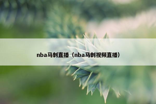 nba马刺直播（nba马刺视频直播）