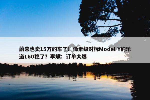 蔚来也卖15万的车了！像素级对标Model Y的乐道L60稳了？李斌：订单大爆