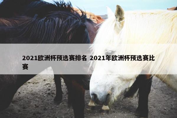 2021欧洲杯预选赛排名 2021年欧洲杯预选赛比赛