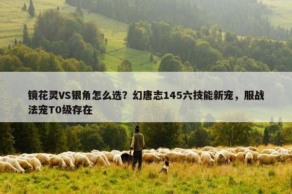 镜花灵VS银角怎么选？幻唐志145六技能新宠，服战法宠T0级存在