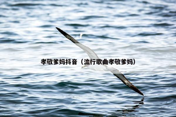 孝敬爹妈抖音（流行歌曲孝敬爹妈）