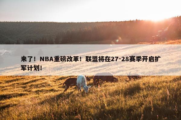 来了！NBA重磅改革！联盟将在27-28赛季开启扩军计划！