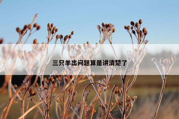 三只羊出问题算是讲清楚了