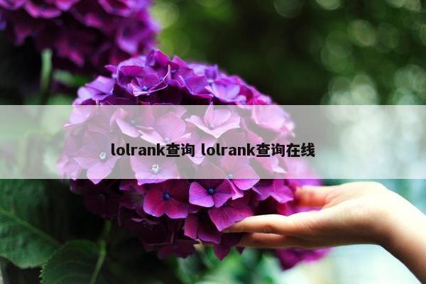 lolrank查询 lolrank查询在线