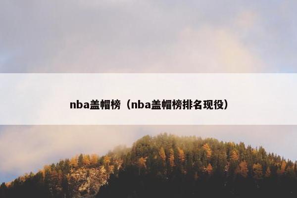 nba盖帽榜（nba盖帽榜排名现役）