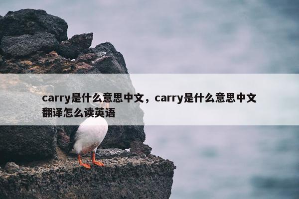 carry是什么意思中文，carry是什么意思中文翻译怎么读英语