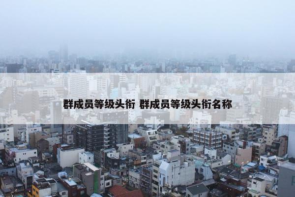 群成员等级头衔 群成员等级头衔名称