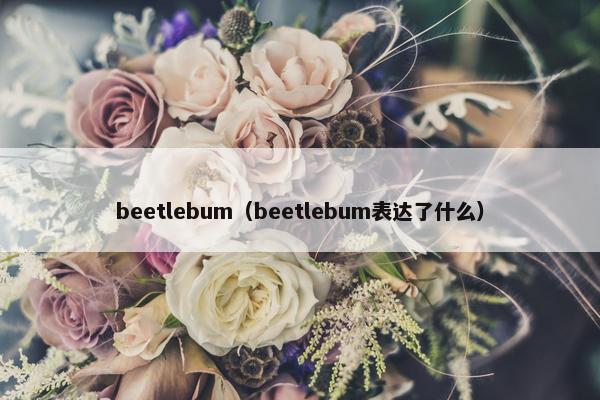 beetlebum（beetlebum表达了什么）