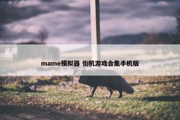 mame模拟器 街机游戏合集手机版