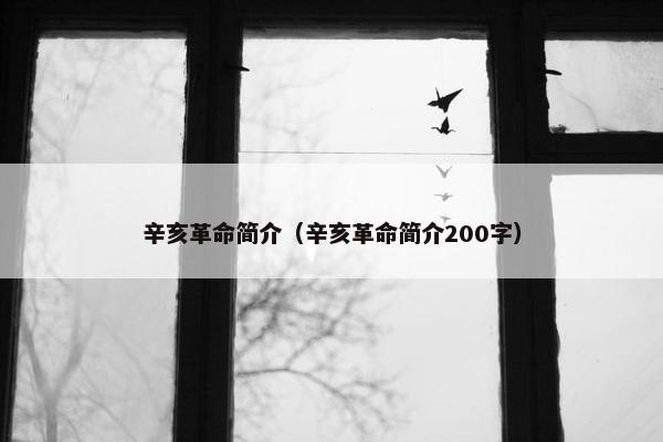 辛亥革命简介（辛亥革命简介200字）